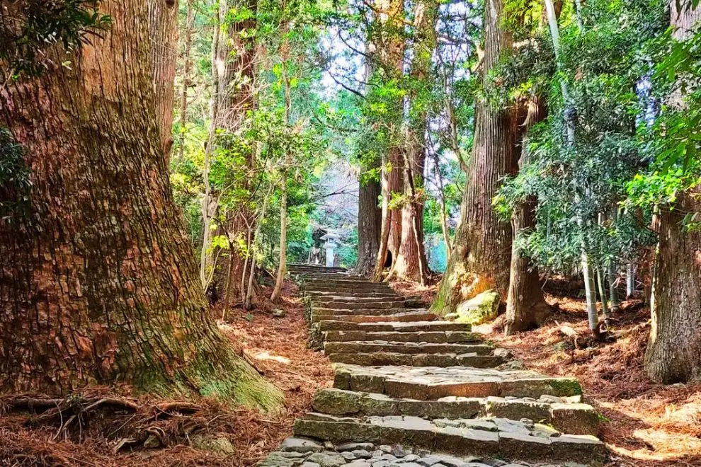 亞洲｜日本熊野古道攻略┃6大經典路線難度、費用全解析！